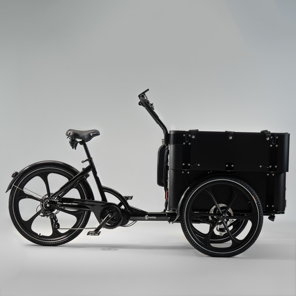 Cargobike Delight Kindergarden Electric