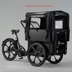 Cargobike Delight Kindergarden Electric
